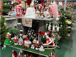 Garden Centre Display