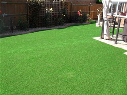 Artificial Grass