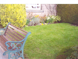 Before Artificial Grass