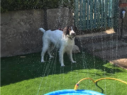 Cover Solutions - Verde Tempo 30mm