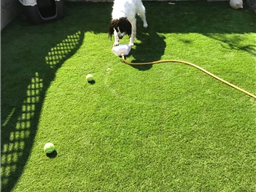 Cover Solutions - Verde Tempo 30mm