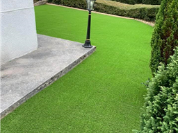 Cover Solutions - Verde Tempo 30mm