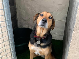 Cover Solutions - Verde Tempo 30mm