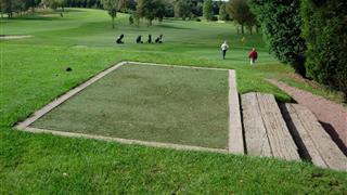 Tee Turf