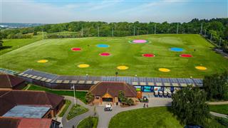 pink artificial grass for target greens