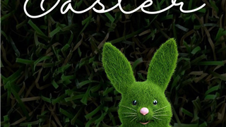 Happy Easter from all at Verde Sports