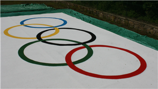 Basildon council olympic flag by verde sports