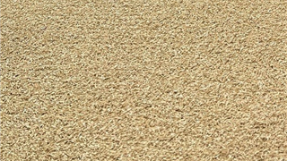 Verde Prime Sand