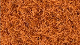 VerdeSward Sunset Orange