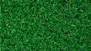 Verde Prime Lite Green