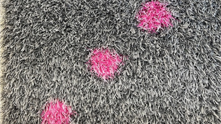 grey grass on artificial dice