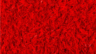 Groovy Grass Red 20.80x4.00