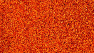 Verde Leisure Orange - 2.05x4.00m