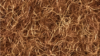 VerdeSward Chestnut 11.00x4.00