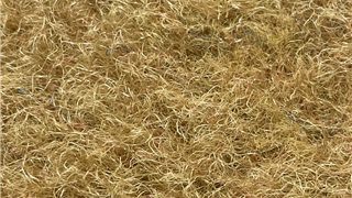 VerdeSward Ochre 1.20m x 4.00m