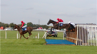 verde artificial grass for horse races