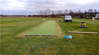 Super Verdegrass Cricket