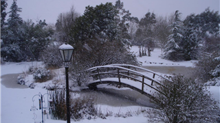 Verde Sports - 22 Dec 2009