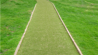 Shawhill Golf Club – Verdeturf path way 