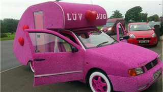 The LUV BUG!