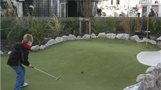  Putting Surface