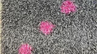 grey grass on artificial dice