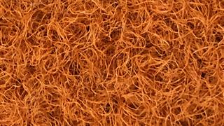 VerdeSward Sunset Orange