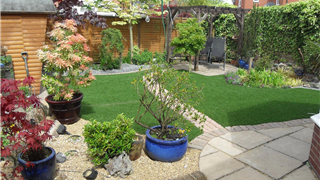 A lovley green garden to enjoy throughout the year