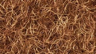 VerdeSward Chestnut 11.00x4.00