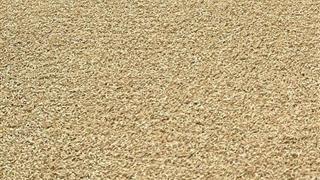Verde Prime Sand