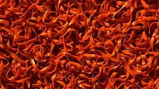 Verde Prime Terracotta 1.00m x 4.00m