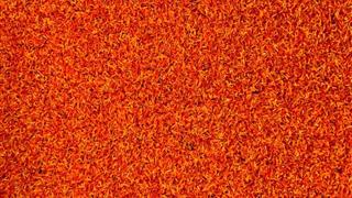 Verde Leisure Orange - 2.05x4.00m