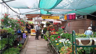 Chacewater Garden Centre