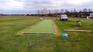 Super Verdegrass Cricket