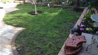 Al Garden For All Seasons - Before