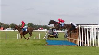 blue verdeturf at horse riding event