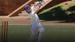 Cricket Surfaces