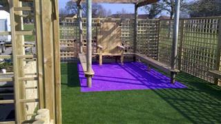Purple Groovy Grass In School