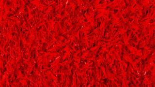 Groovy Grass Red 0.53 x 0.60m (s)