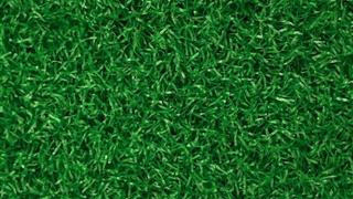 Verde Prime Lite Green