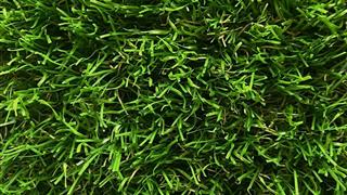 Verde Habitat - Household Range