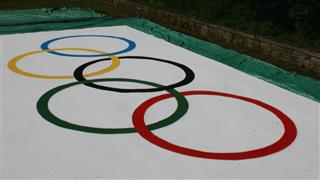 Basildon council olympic flag by verde sports