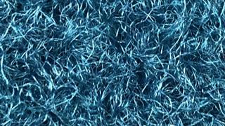 VerdeSward Marine Blue