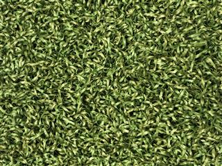 Verde Prime Green - 2.00m x 4.00m (s)