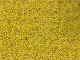 prime lite yellow