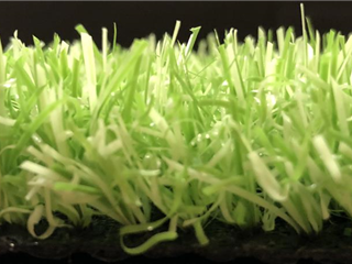 Groovy Grass Lime - 5.30m x 4.00m
