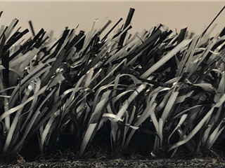 Groovy Grass Off Black - 6.70m x 4.00m