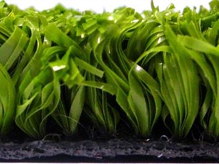 Super Verdegrass - 2.40m X 2.00m