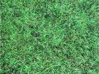 Verde Pitch Top 2010