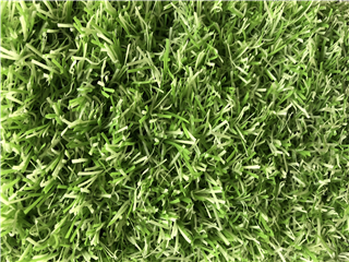 lime groovy grass